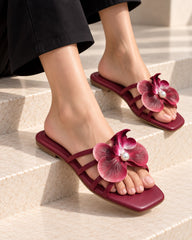 Maroon Orchid Bloom Flat